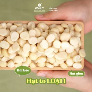 Hạt Macca Úc Vỡ Đôi Hàng Loại 1 Nhập Khẩu Cao Cấp - Fonut