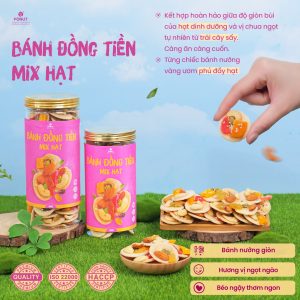 Bánh Đồng Tiền Mix Hạt Và Trái Cây Sấy Hàng Loại 1 Cao Cấp - Fonut